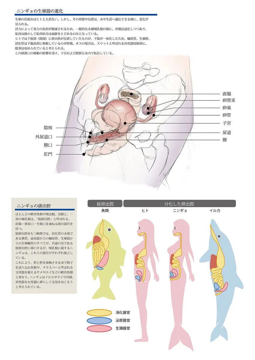 ビッチマーメイド 01-22 Page.30