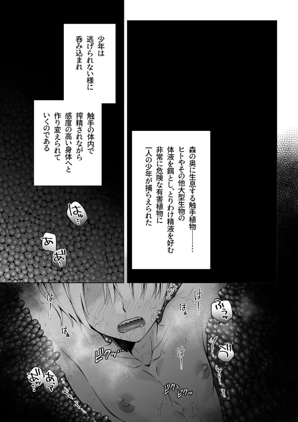 双子エルフの受難・後編 Page.5