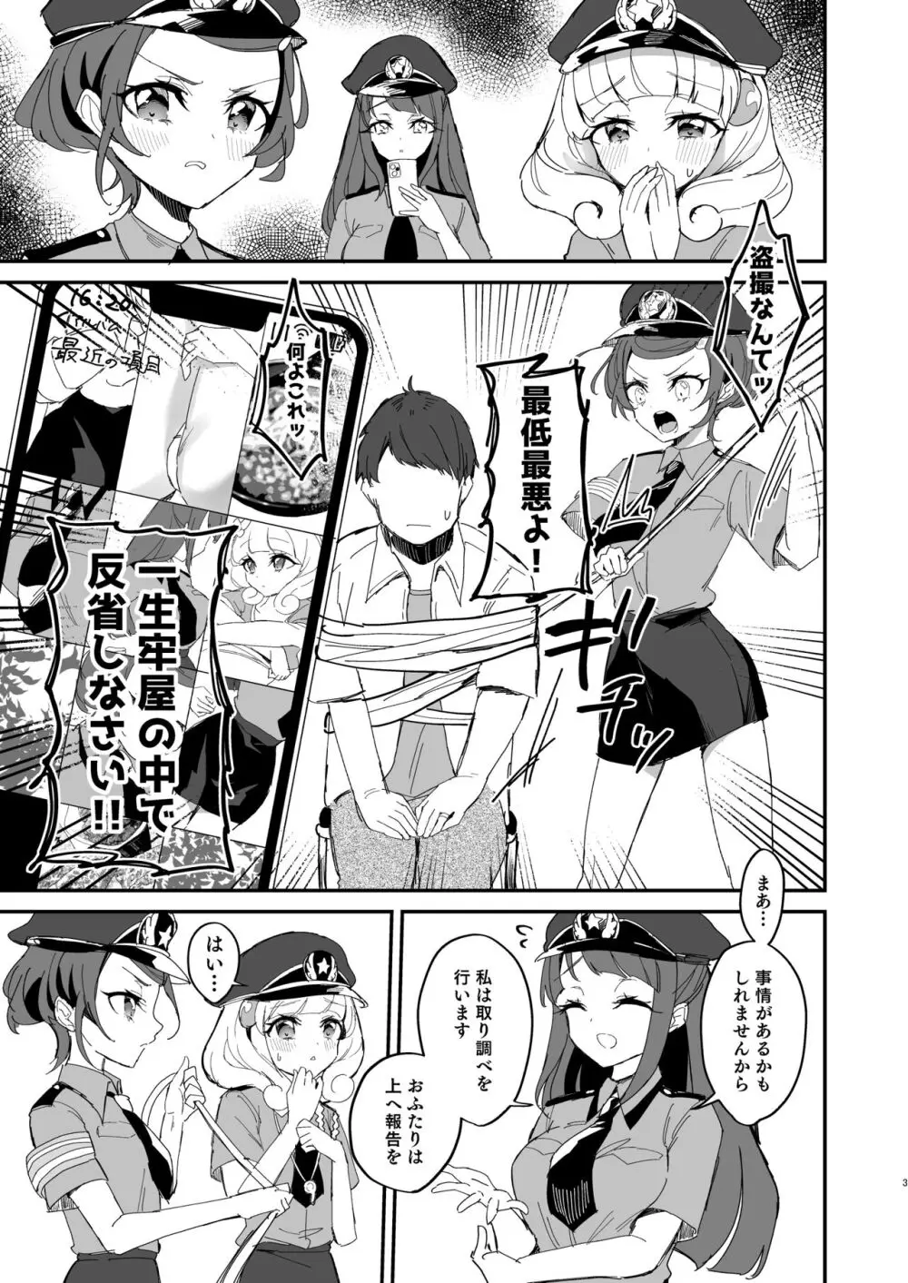 ポリまど~ポリスまどかさんに逮捕された日の記録~ Page.3