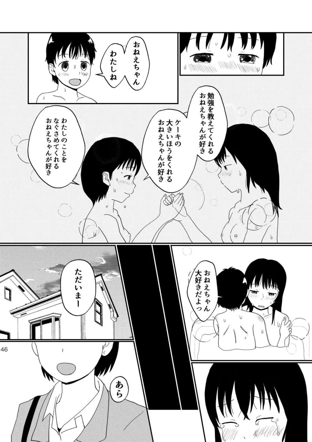 レモンダイアリー Page.45