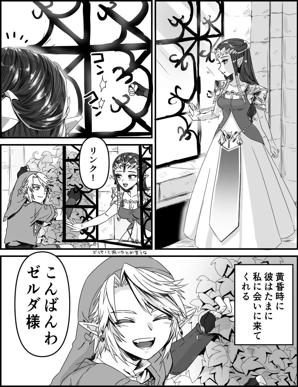 新種のチュチュゼリー Page.2