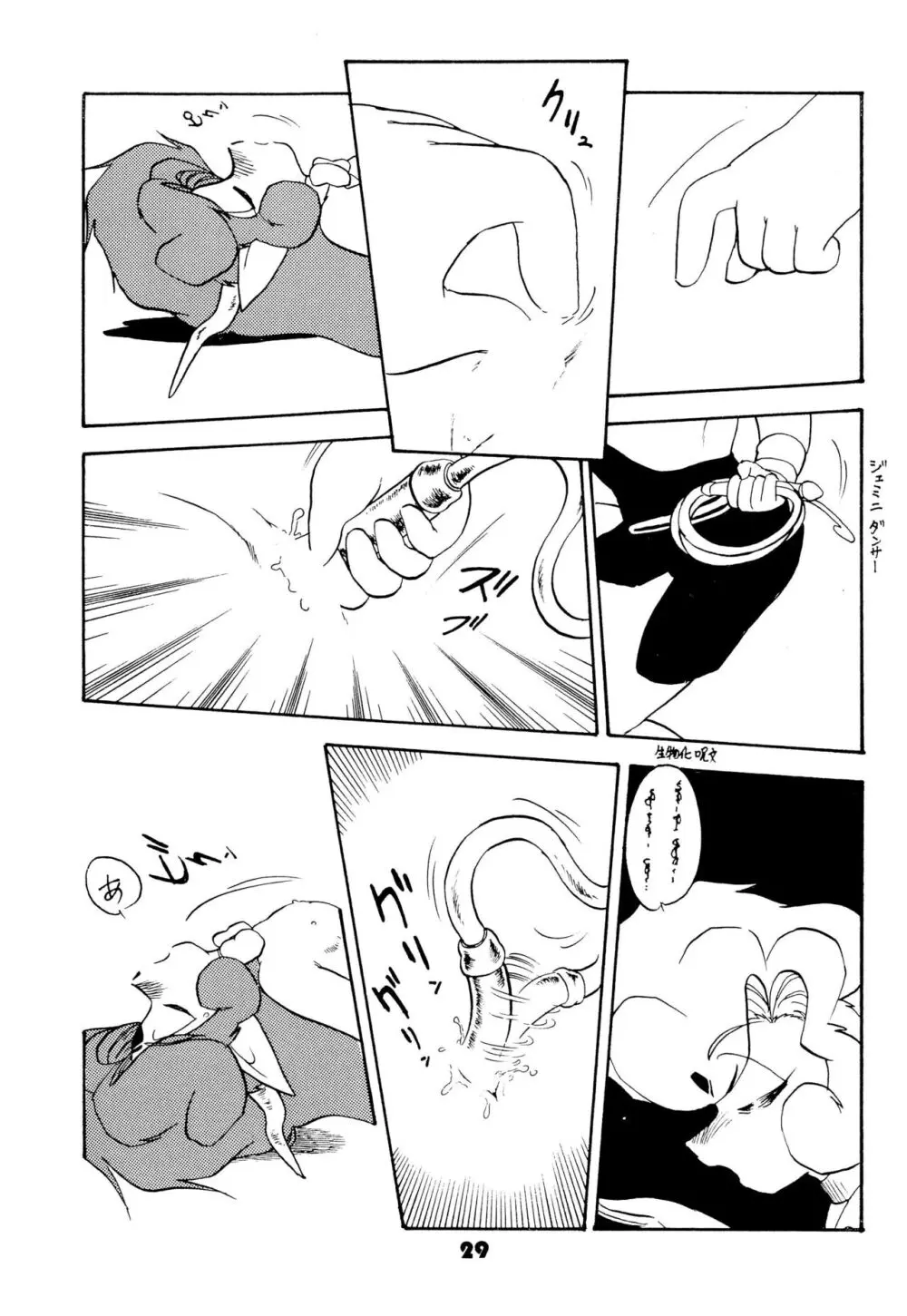 FAIRY MONEY Page.29