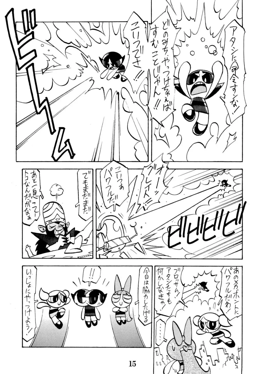 PPG FLASH! Page.17