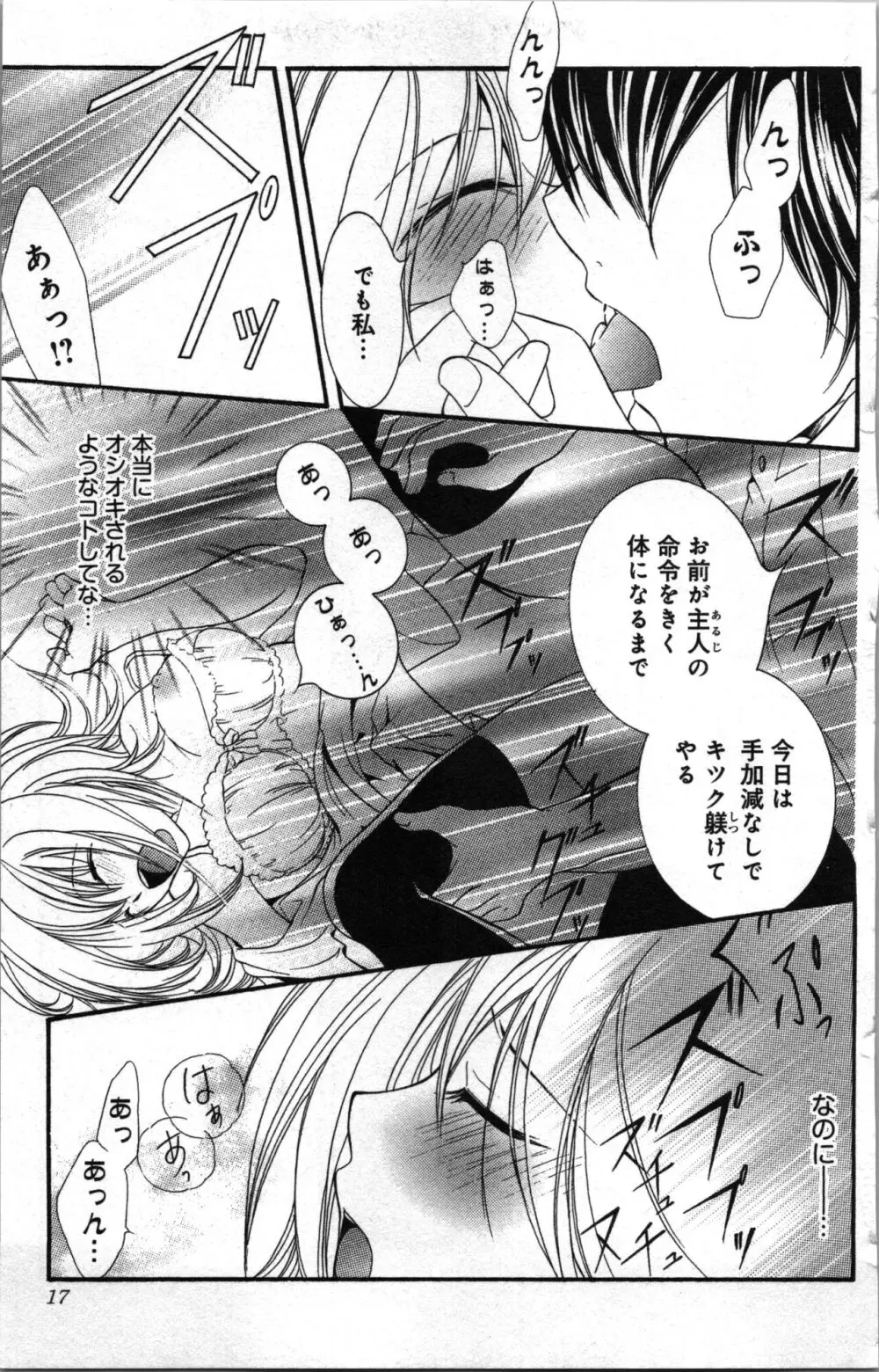 絶対命令いいなり玩具 II Page.17