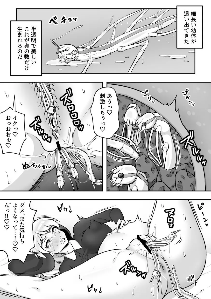 昆蟲研究所2 Page.22