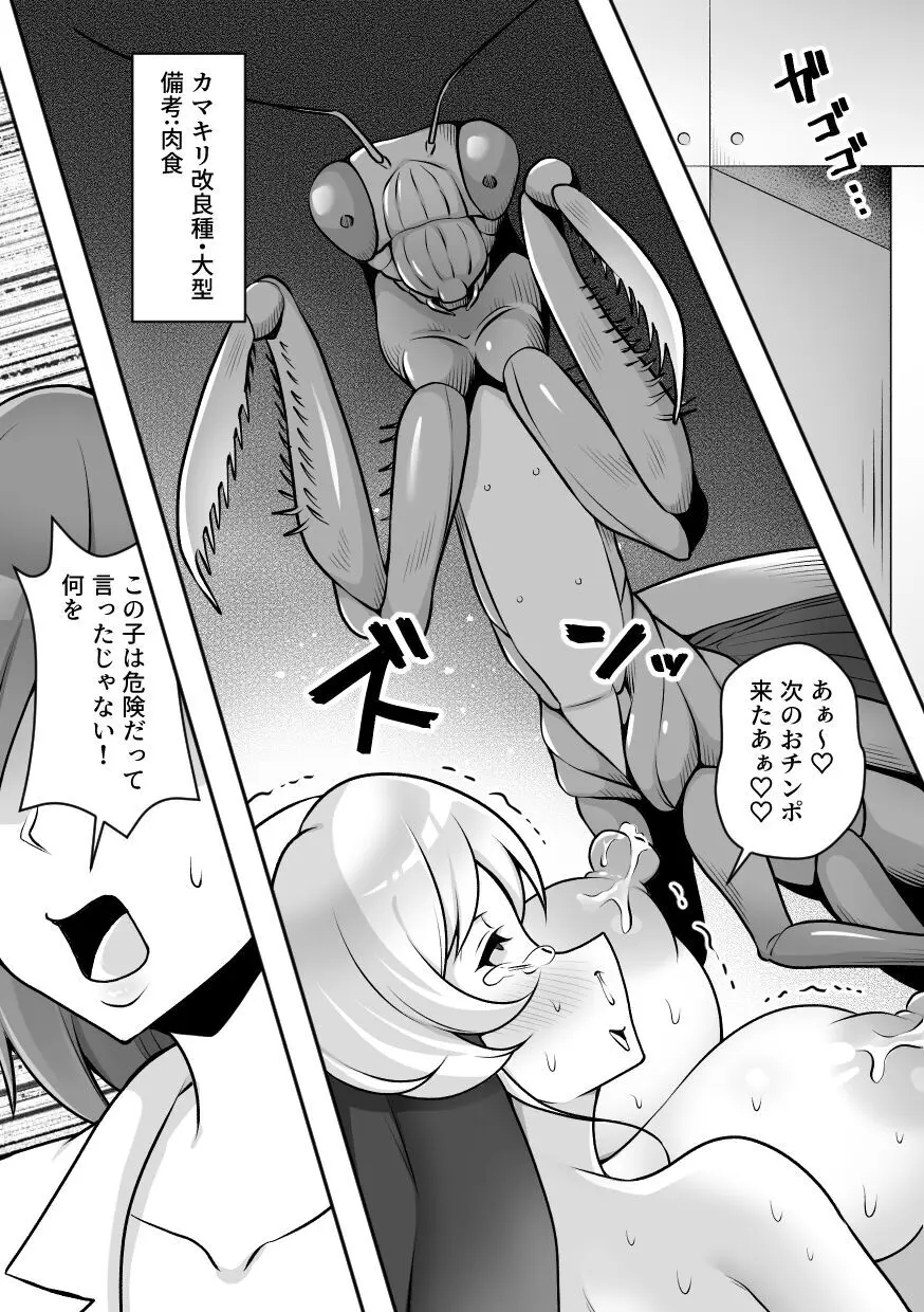 昆蟲研究所2 Page.52