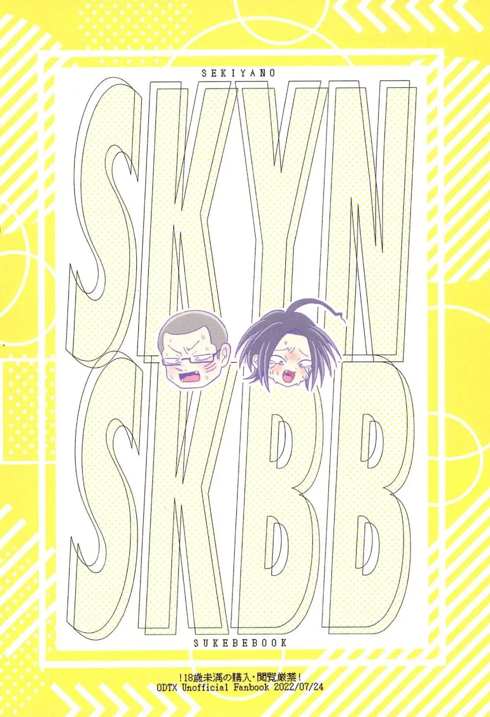 SKYNSKBB Page.36