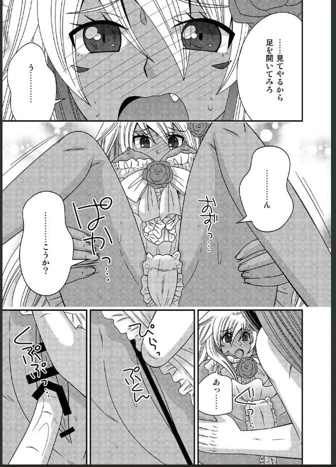 女体化した勇者様が魔王の嫁になるまで Page.13