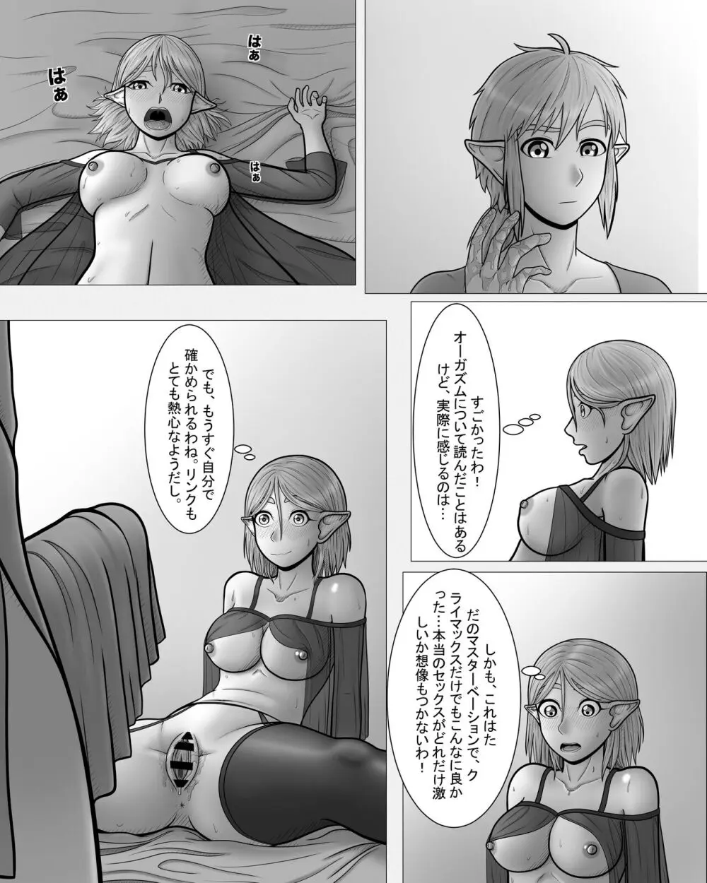 ゼルダの伝説：プリンセスとのナイト Page.30