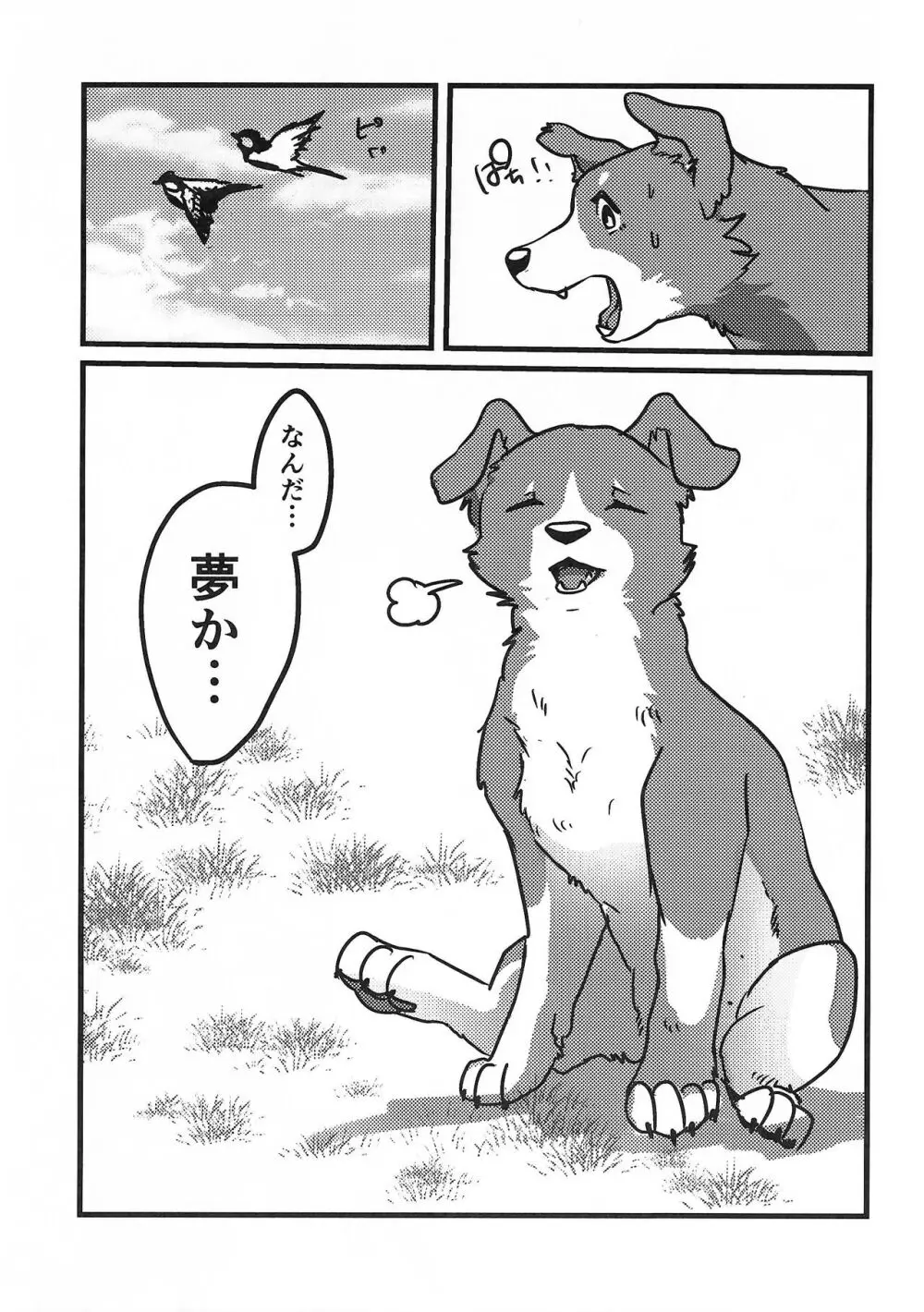 DOG.IN.CAGE コーンじゅういちばい Page.10