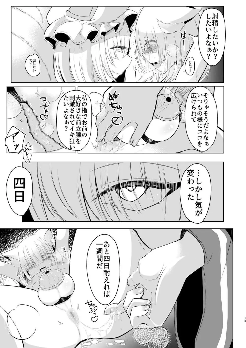 八雲藍による性奴○射精管理調教 子狐編 Page.12