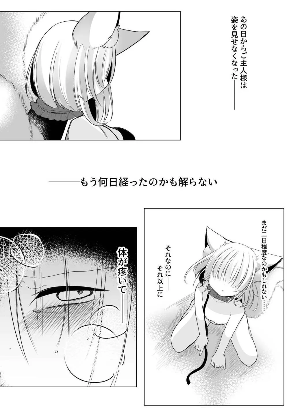 八雲藍による性奴隷調教 一時の戯れ Page.46