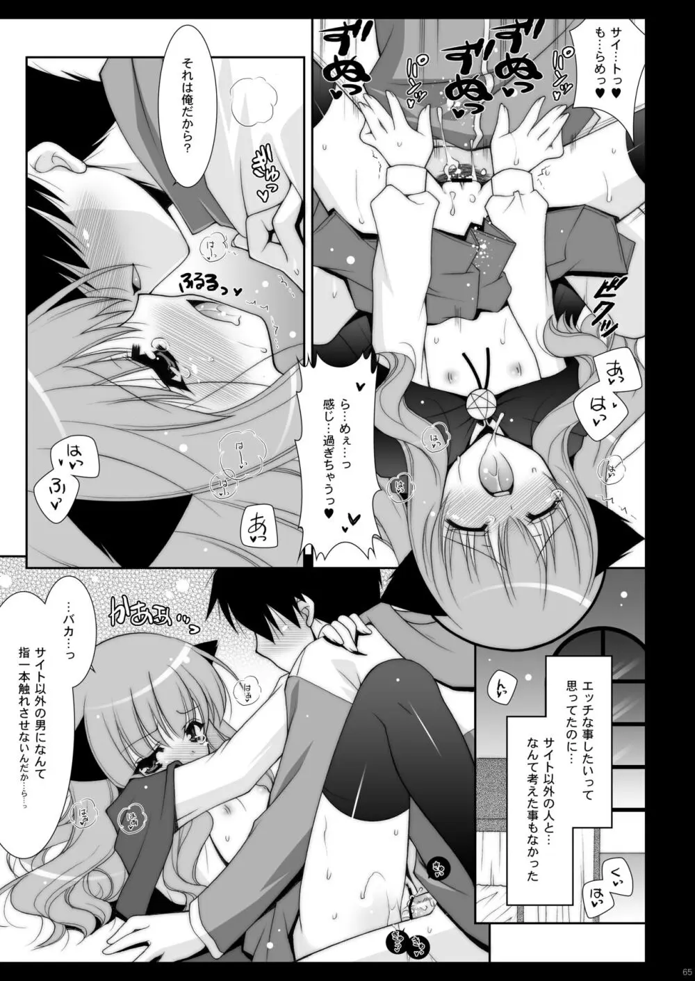 ゼロの使い魔 総集編 Page.65