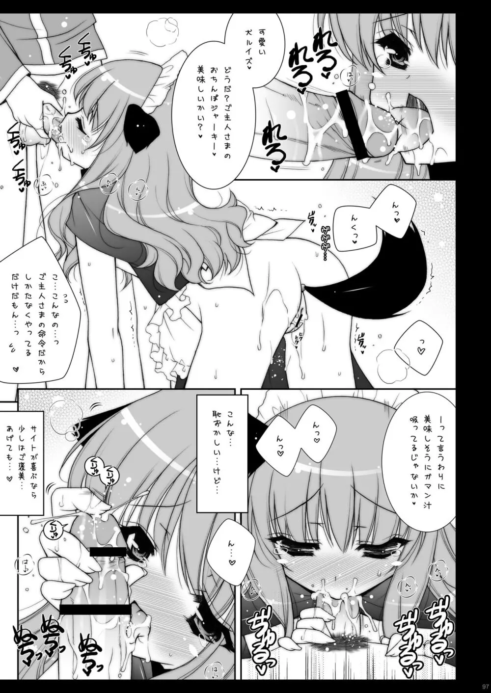 ゼロの使い魔 総集編 Page.97