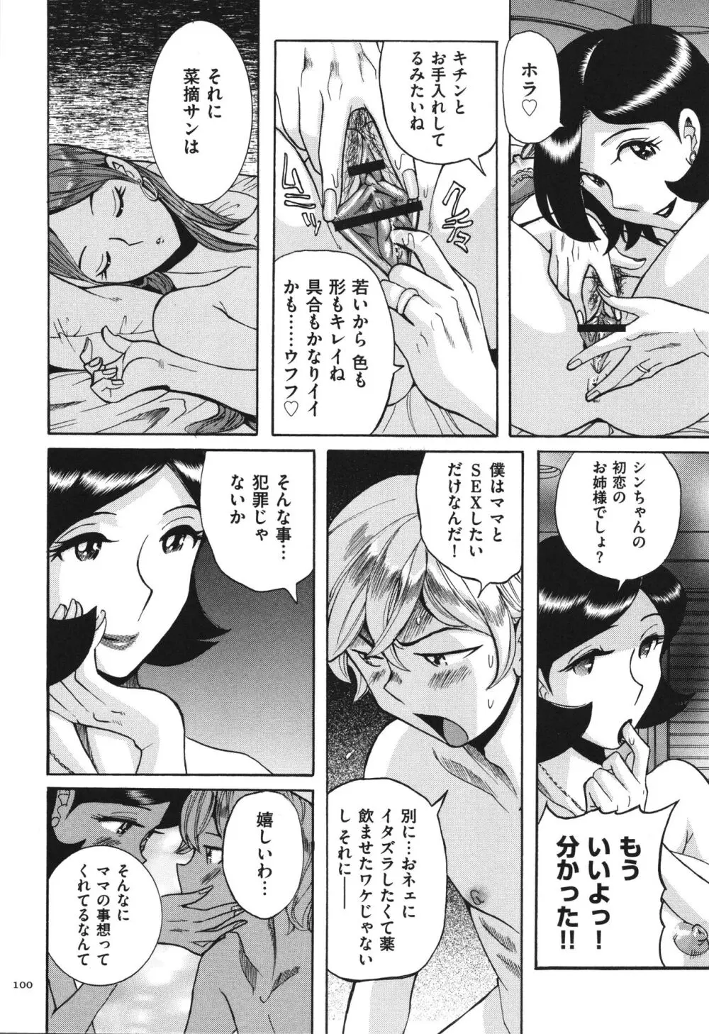 ニンフォママン 母子相姦 ママの子宮は僕のモノ Page.101