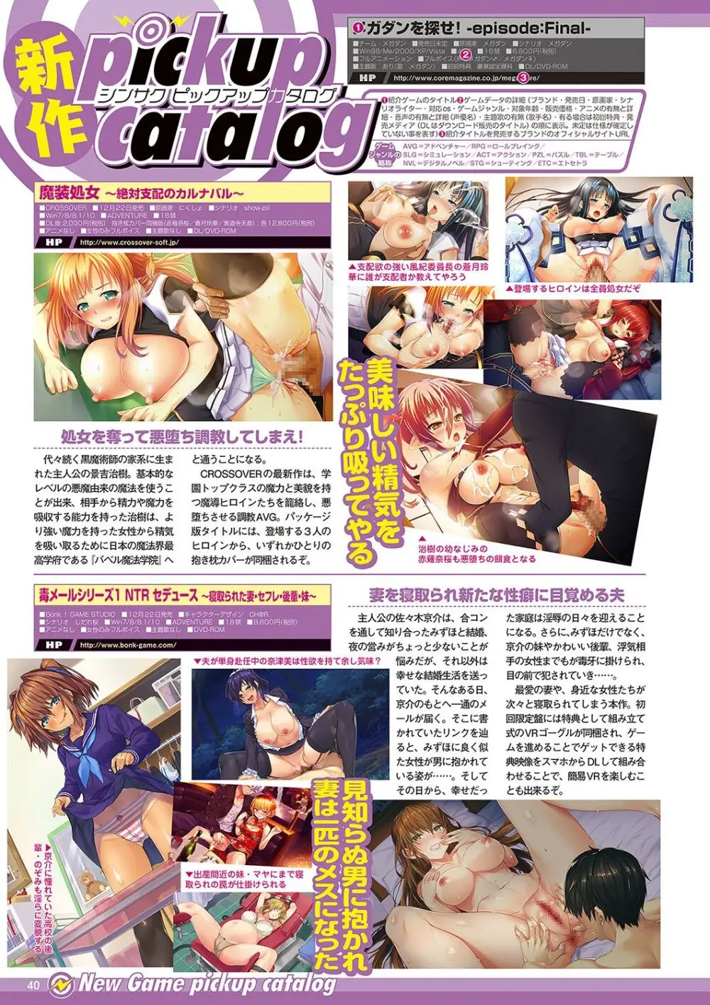 月刊メガストア2018年1月号 Page.31