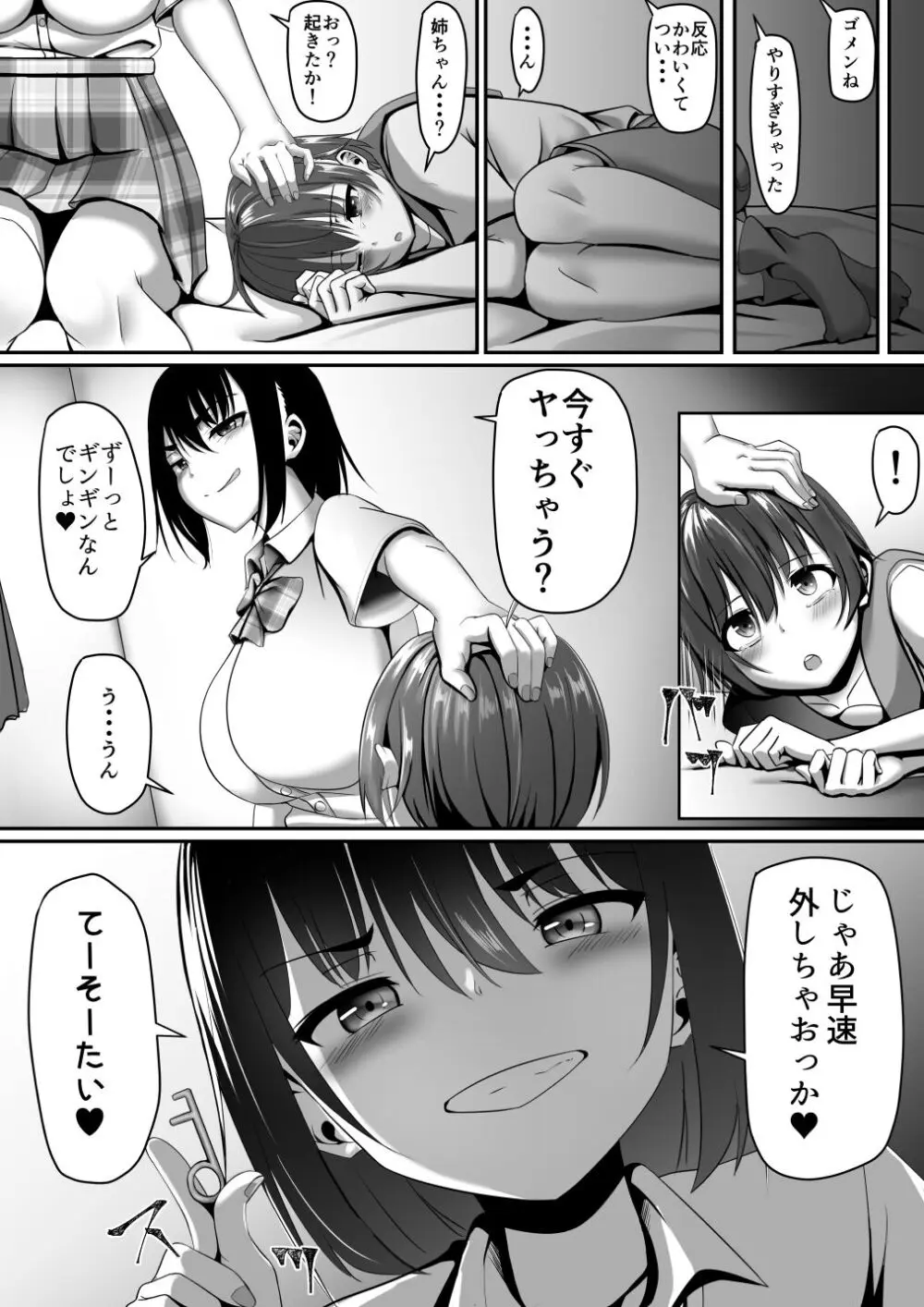 お姉ちゃんは弟の射精が見たい!後編 Page.6