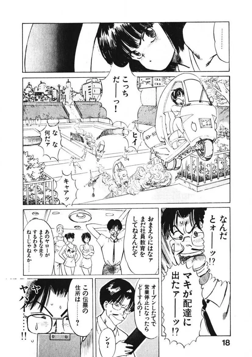 乙女のお願い 第1巻 Page.17