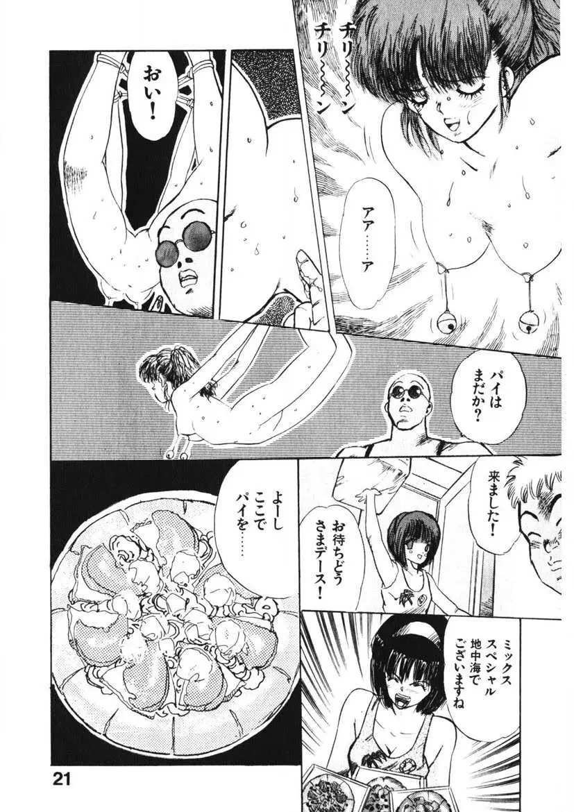 乙女のお願い 第1巻 Page.20