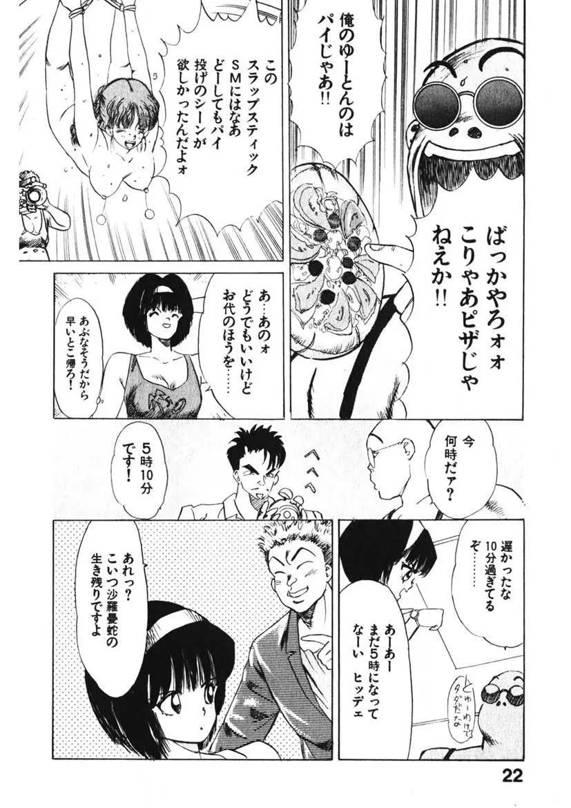 乙女のお願い 第1巻 Page.21