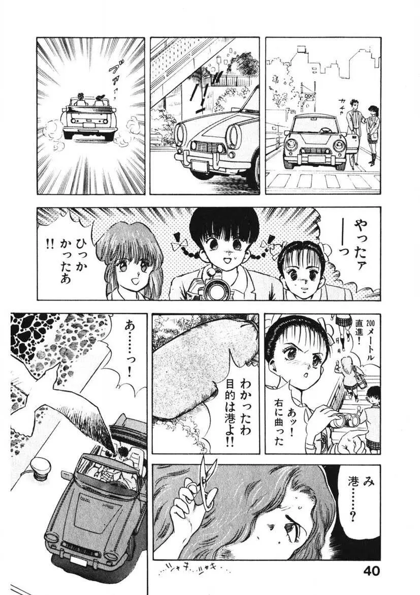 乙女のお願い 第1巻 Page.39