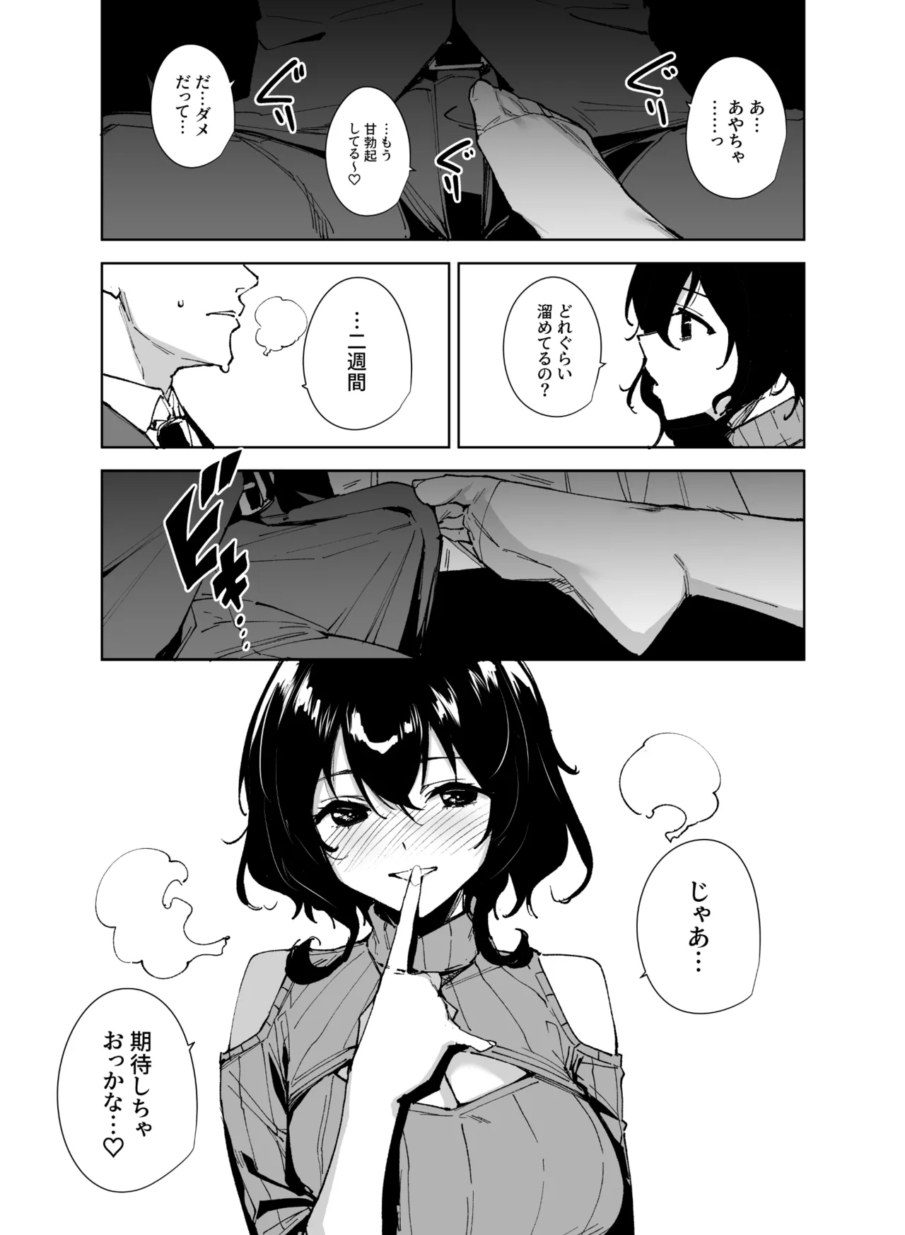 秘公開サブプラン2 Page.4