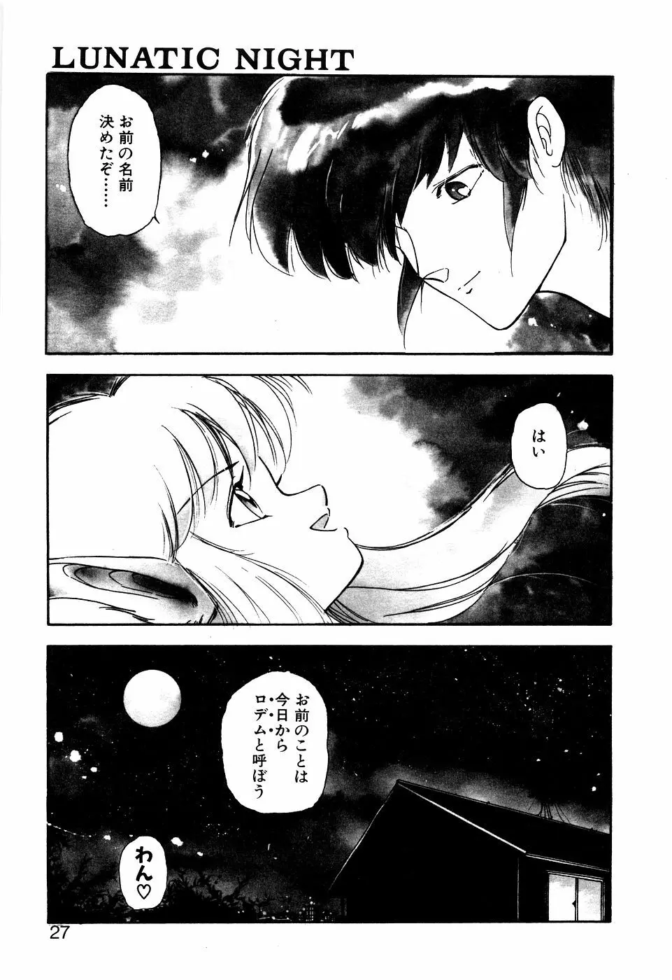 LUNATIC NIGHT I Page.26