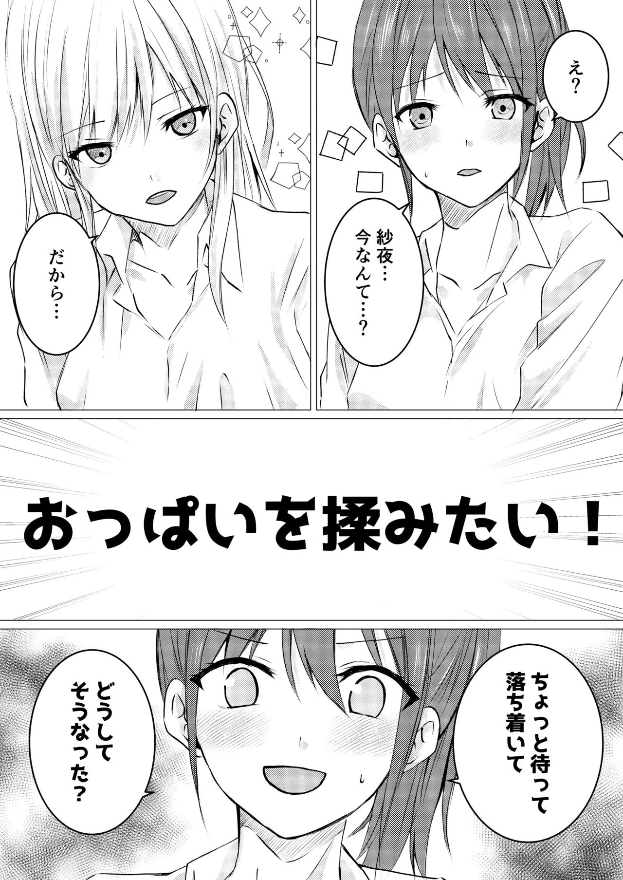 女の子だって、おっぱいを揉みたい! Page.3