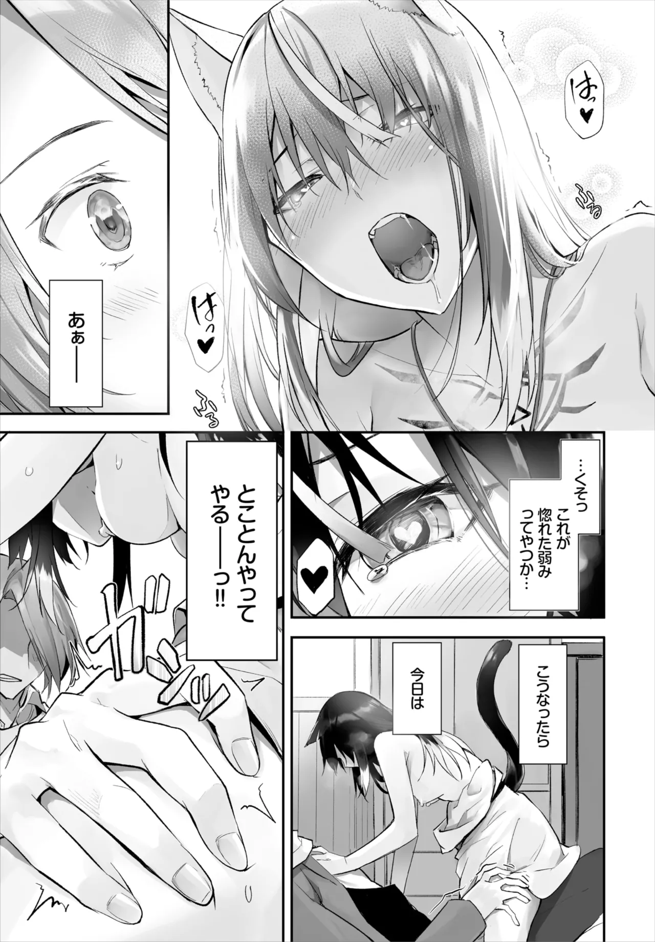 愚か者は猫耳奴隷に依存する～初めての調教生活～ 01-29 Page.293