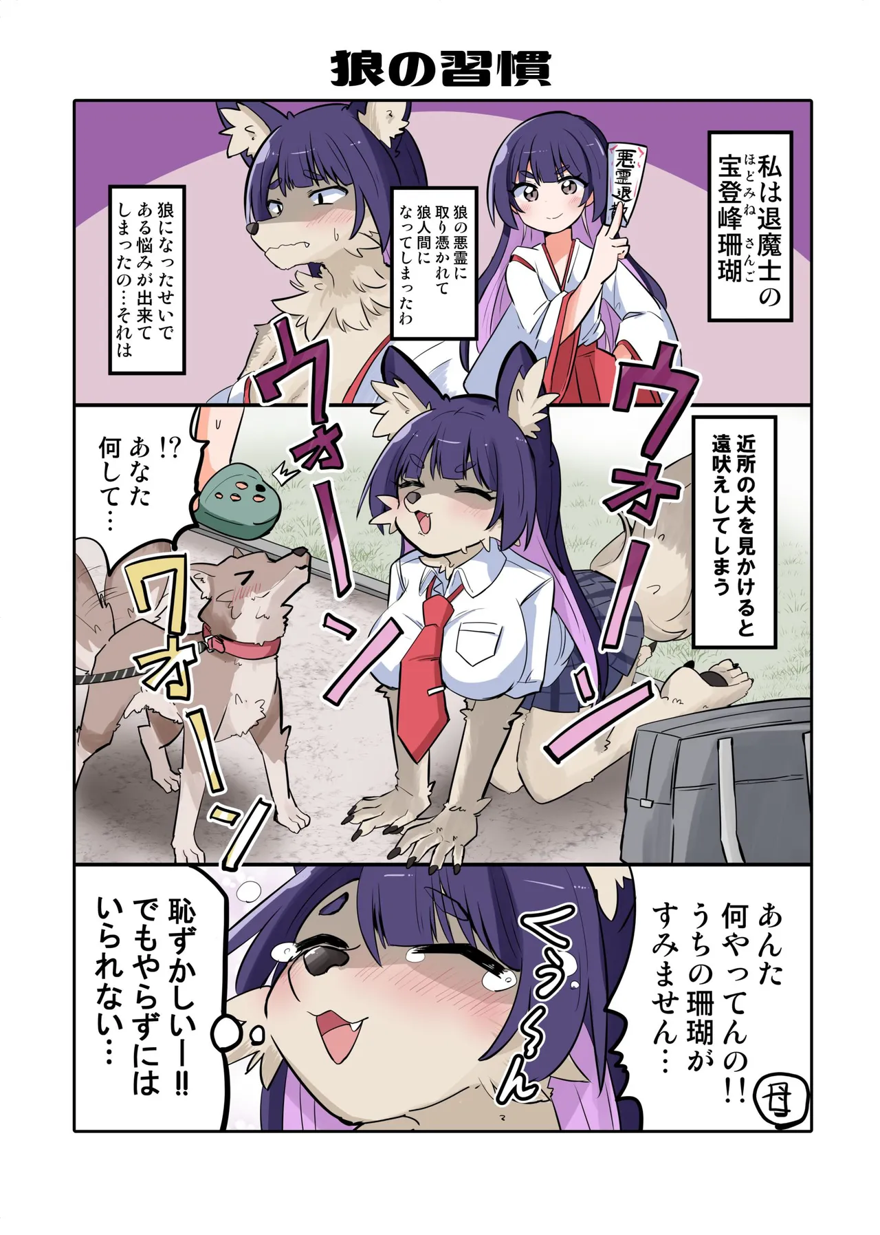 トランスガールズコレクション Page.12