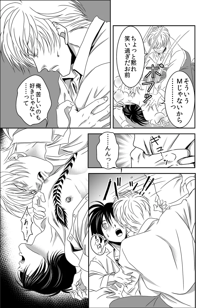 黒孔雀は囚われる。 SIDE-S Page.19