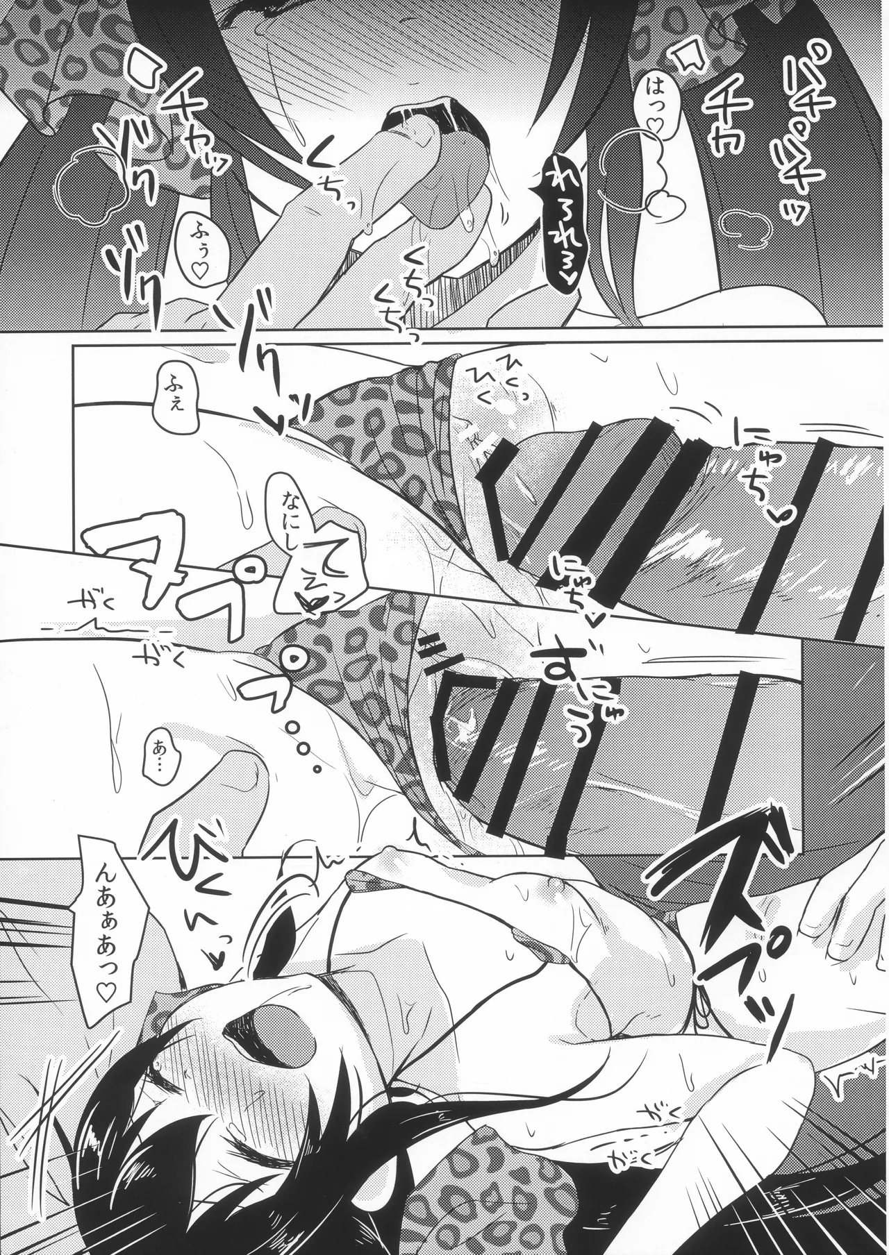 vary Page.12