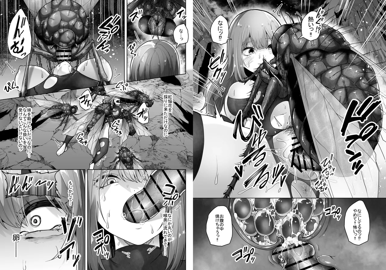 灰蠅 Page.42