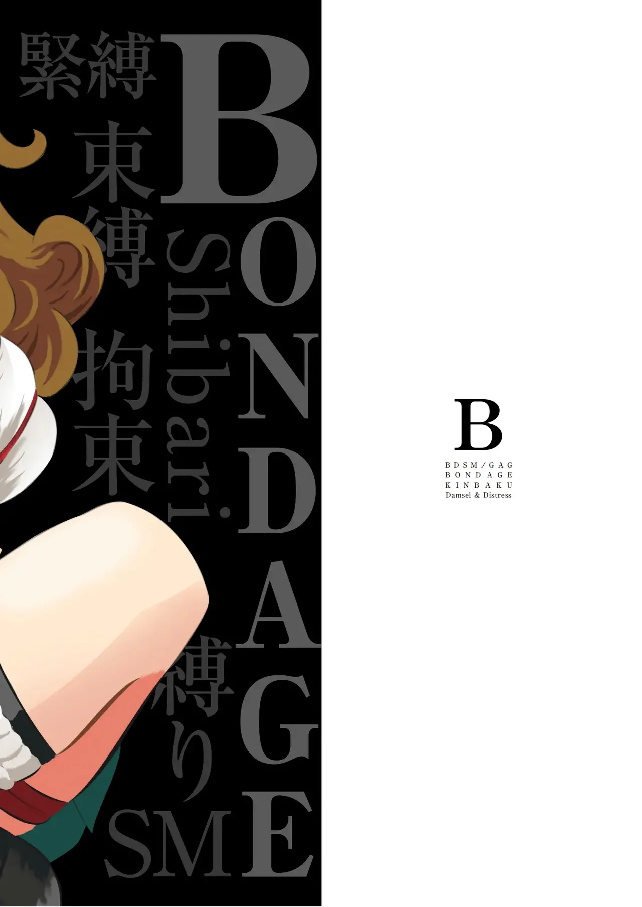 緊縛の本B Page.22