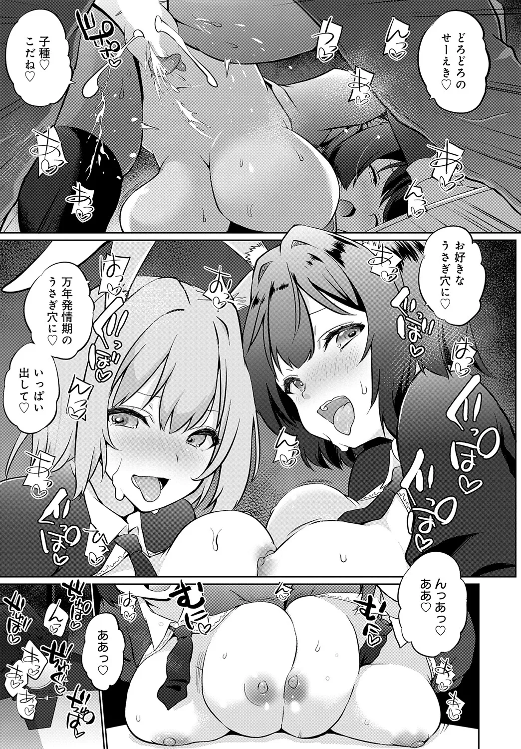 COMIC アンスリウム 2025年5月号 Page.462