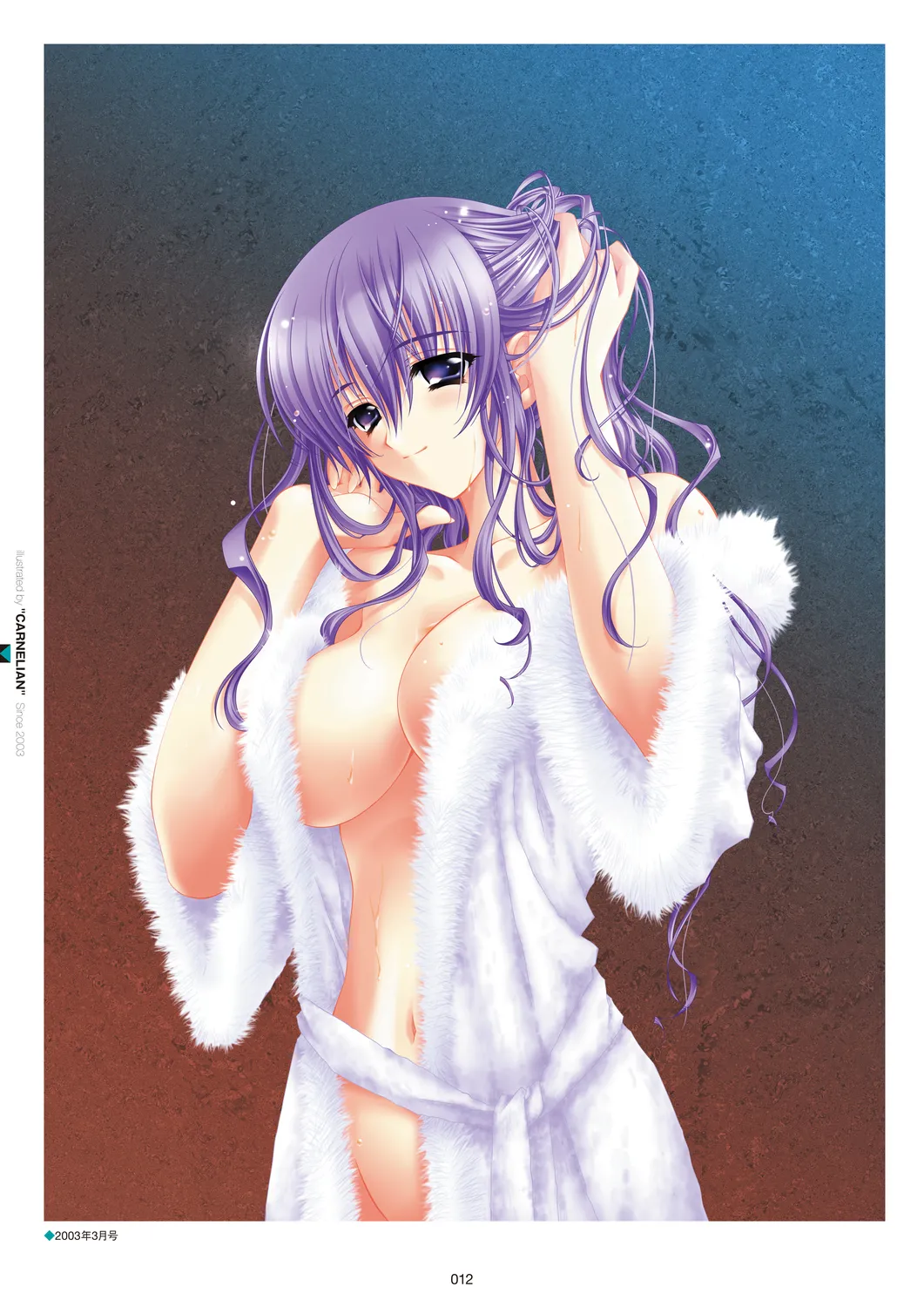 メガストア COVER ILLUSTRATIONS Page.14