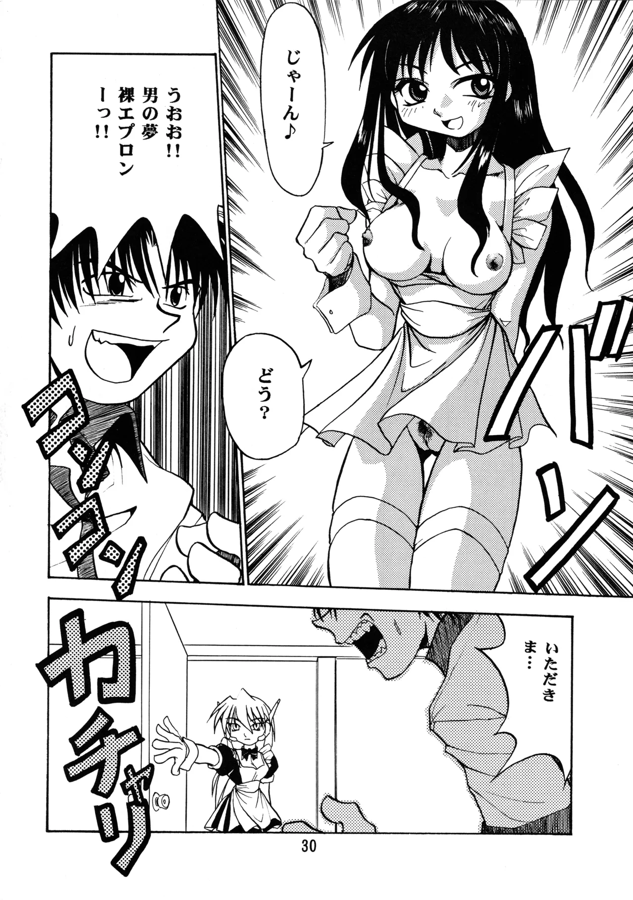 Leaf MAX Page.29
