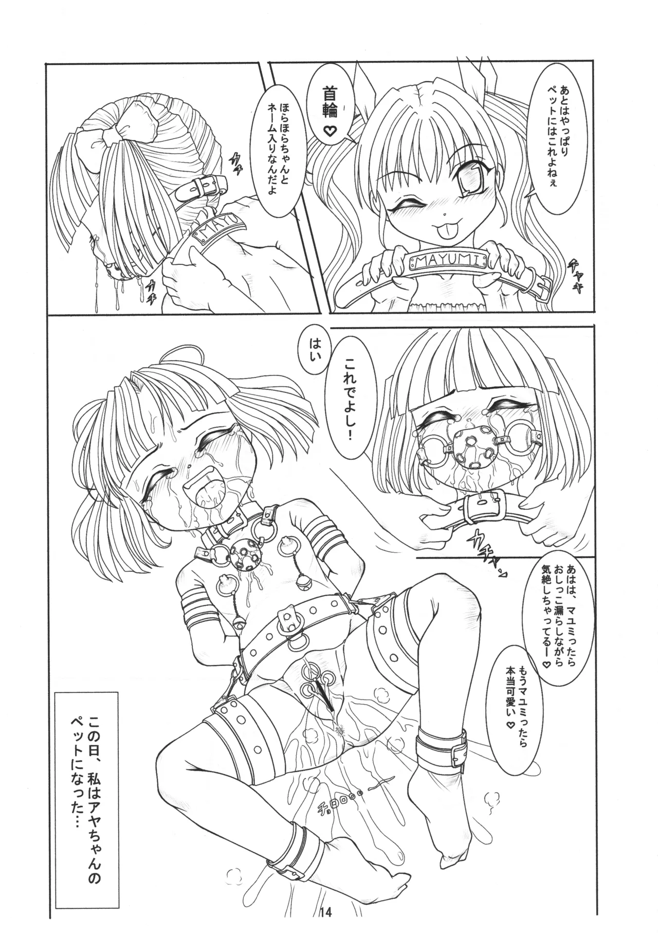 ごしゅじんさまのきもち ぺっとのきもち Page.13