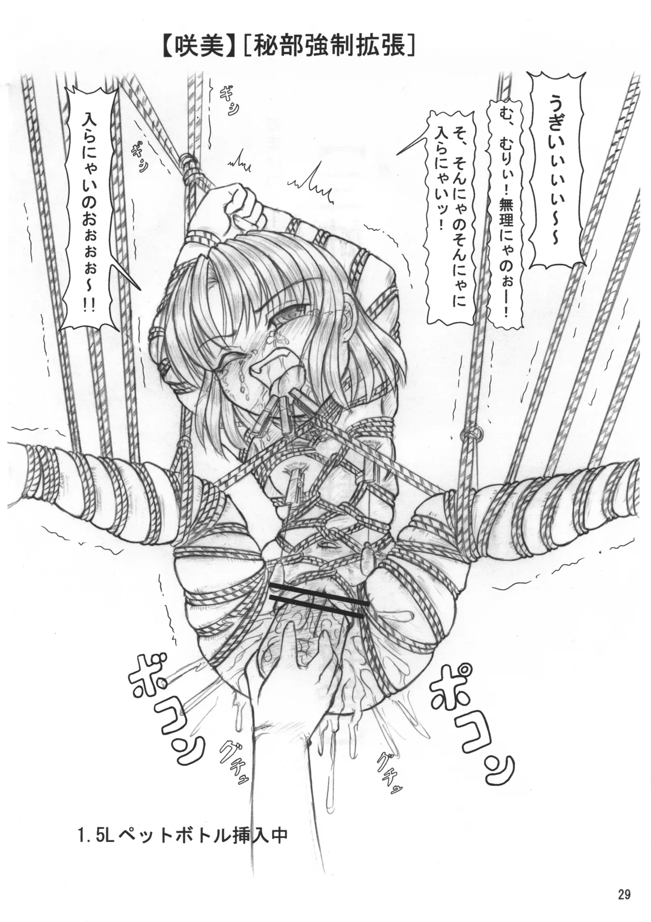 ごしゅじんさまのきもち ぺっとのきもち Page.28