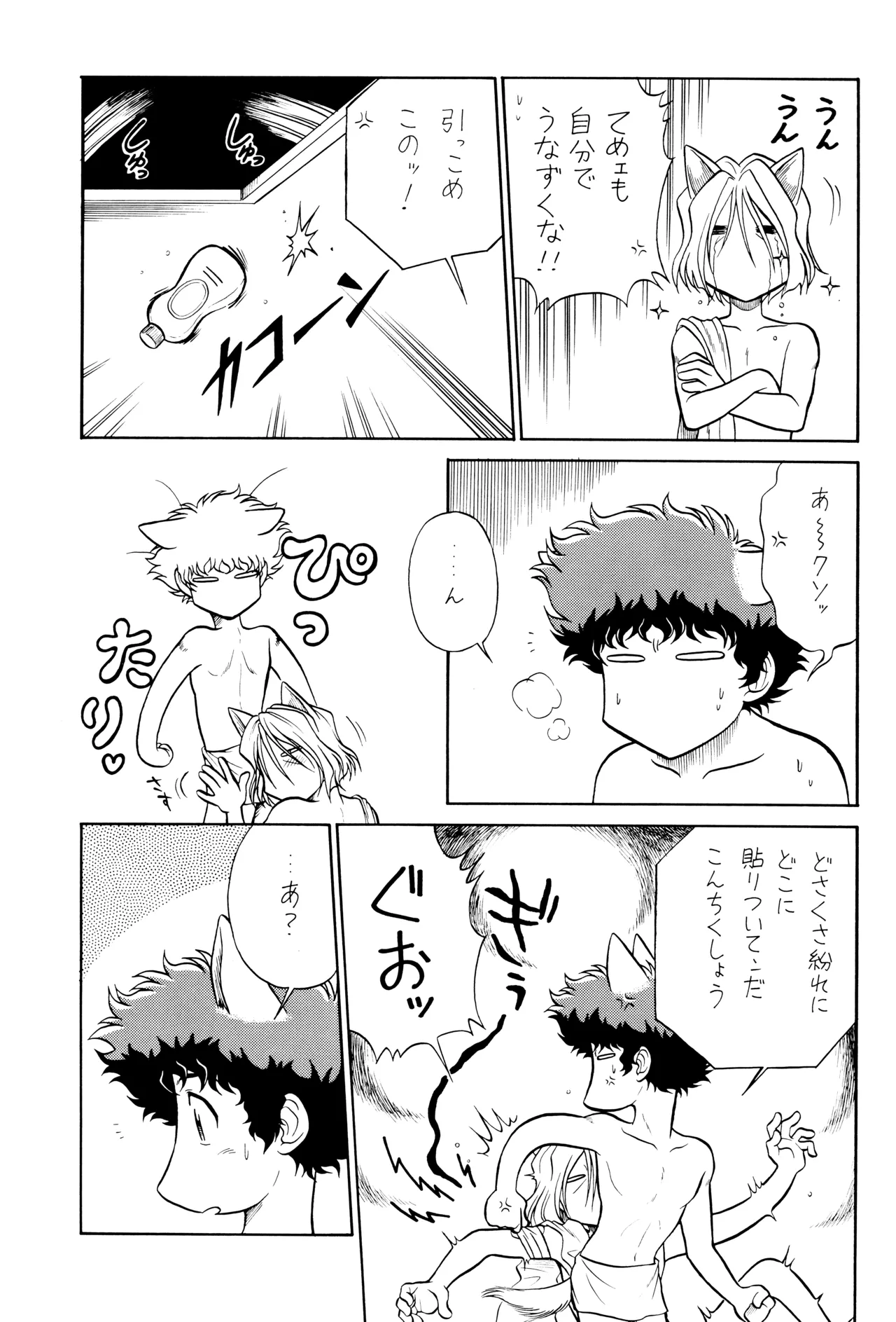 VS Page.29