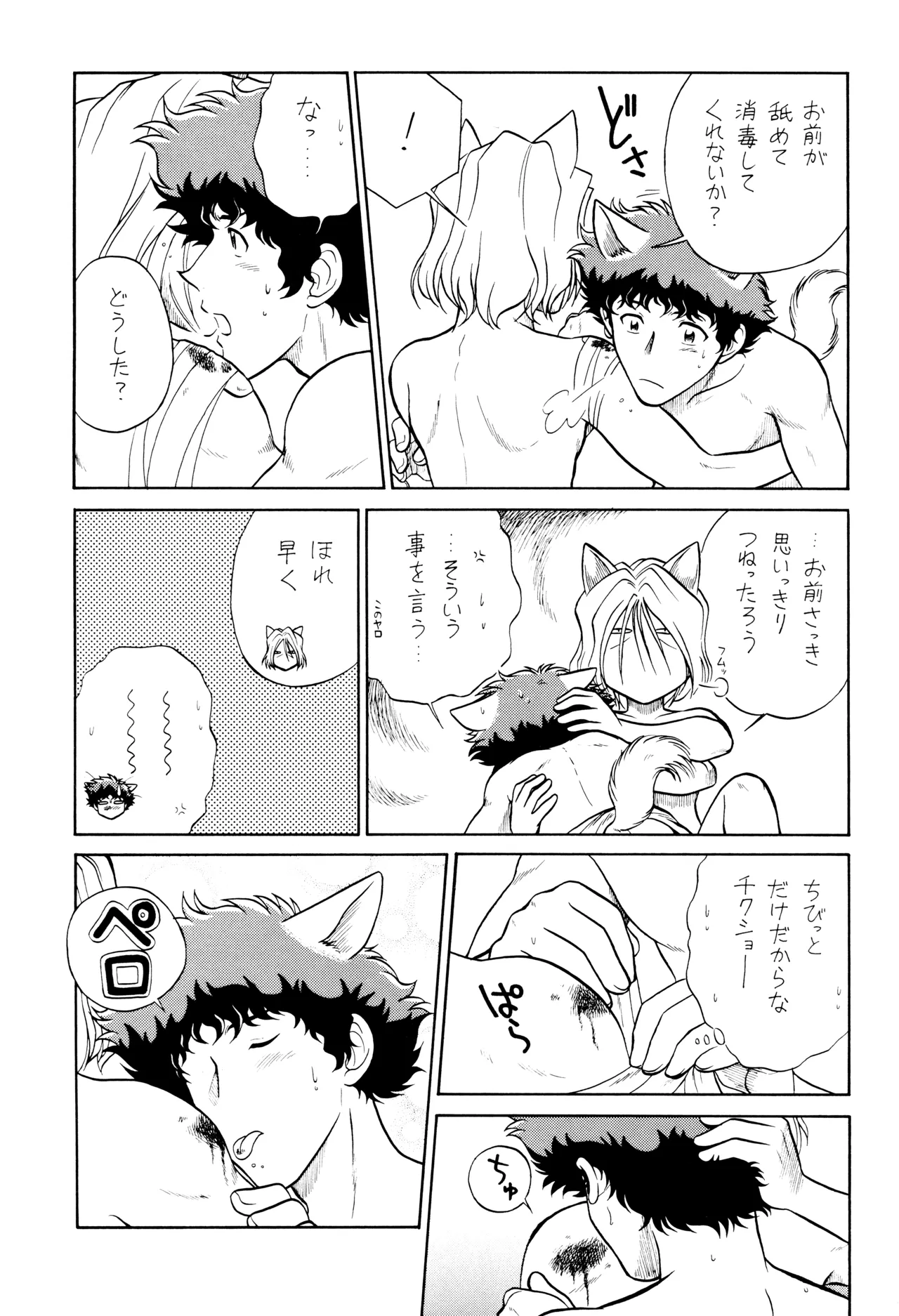 VS Page.31