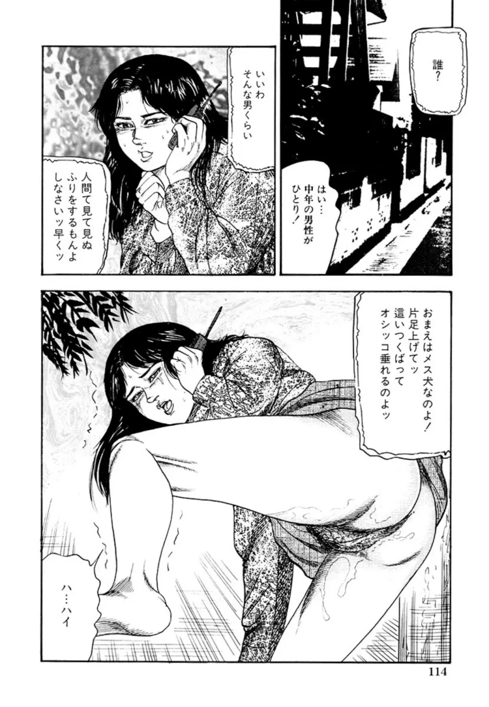性獣夫人 Page.116