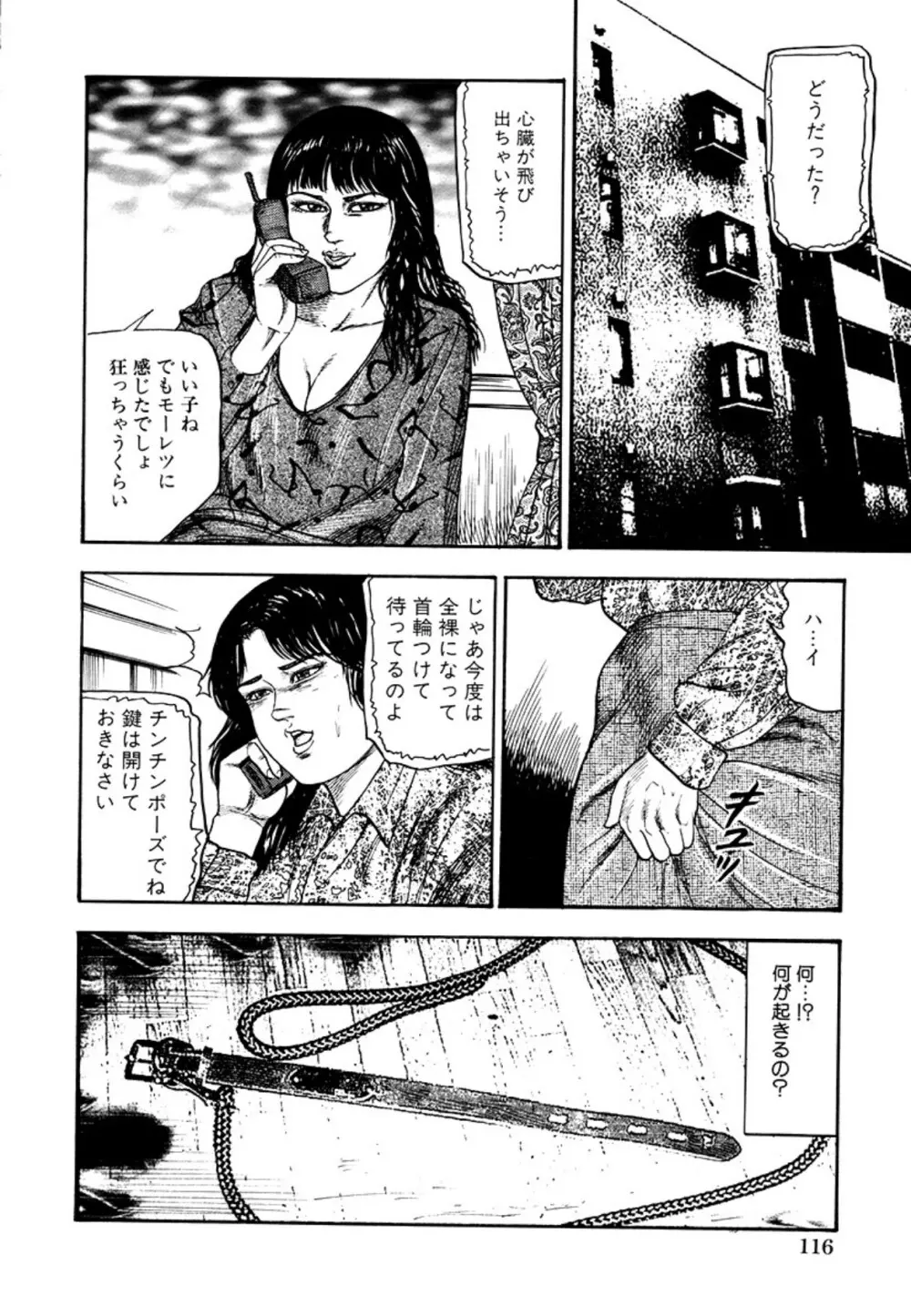 性獣夫人 Page.118