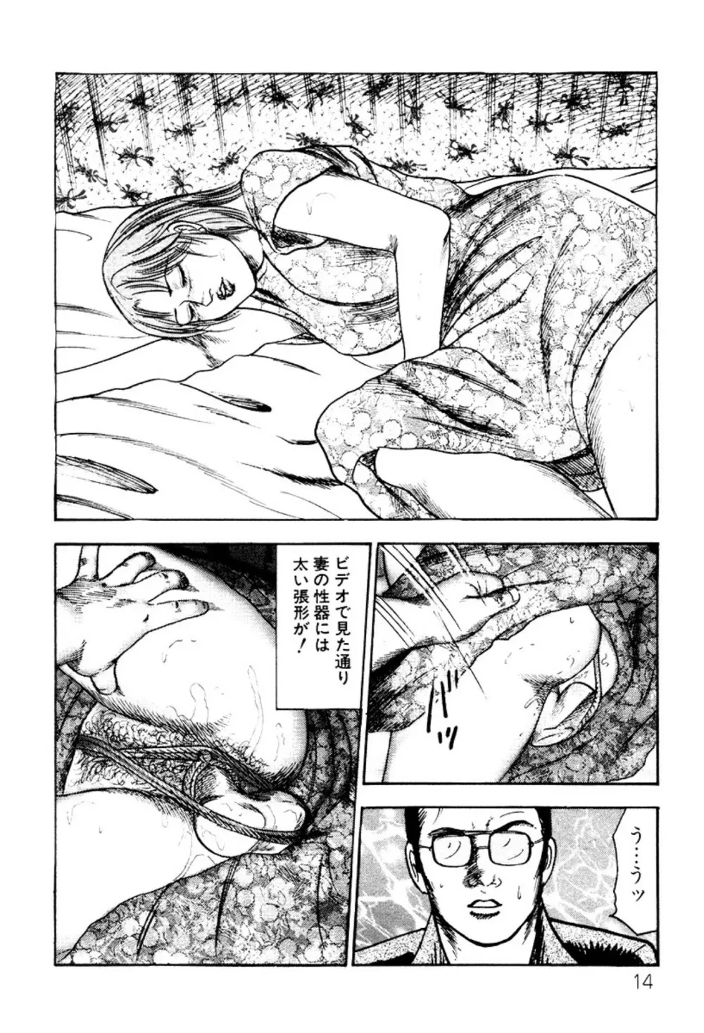 少女妻・淫獣調教 Page.14
