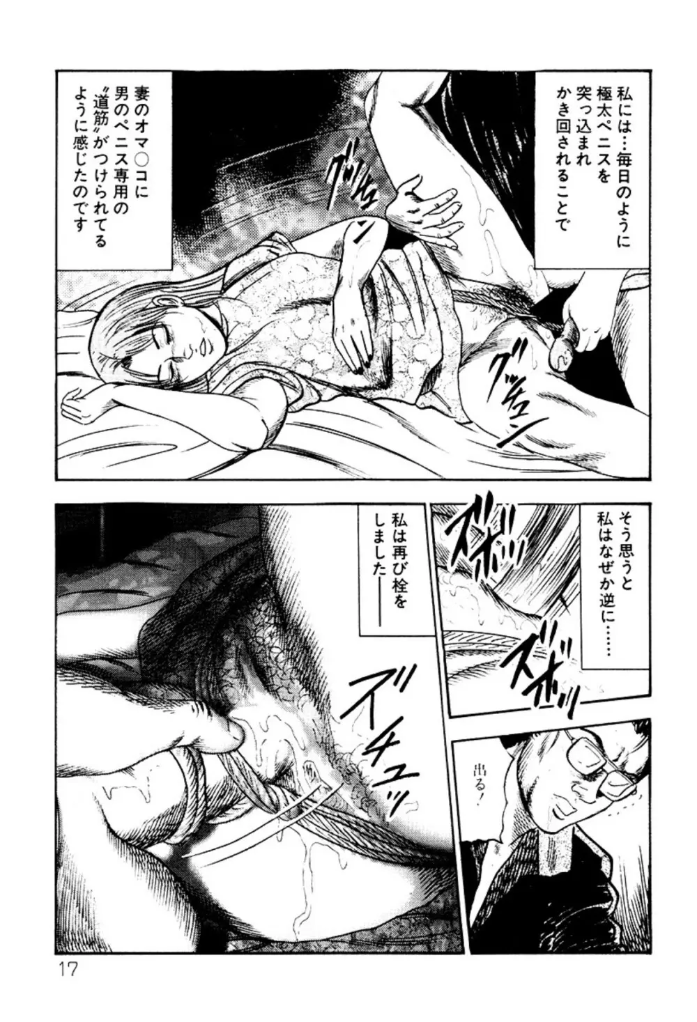 少女妻・淫獣調教 Page.17