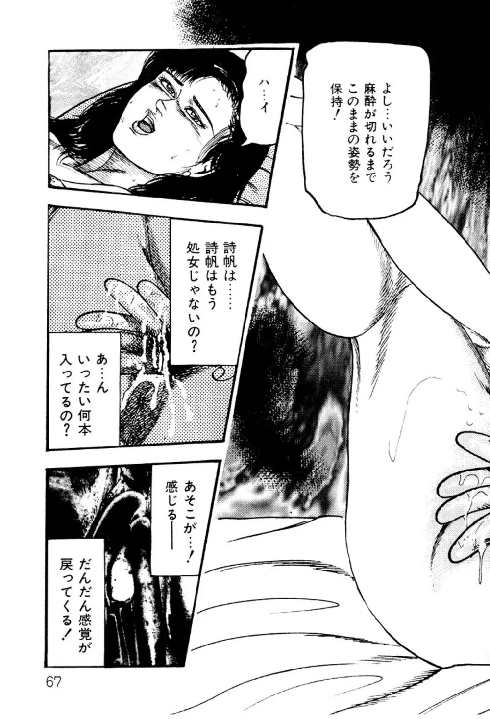 少女妻・淫獣調教 Page.67