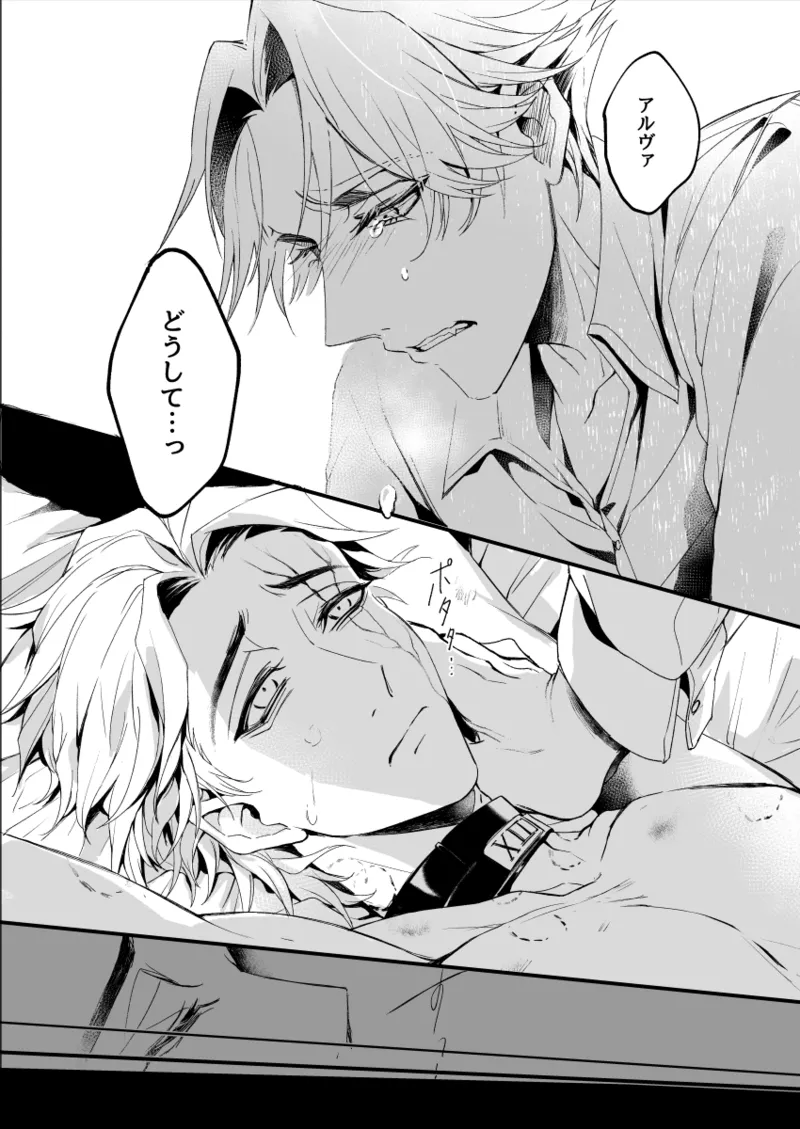 極光の檻 Page.16