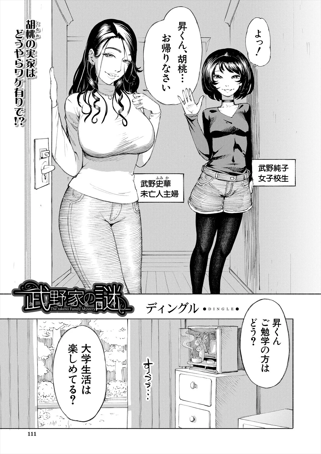 COMIC 夢幻転生 2025年7月号 Page.111