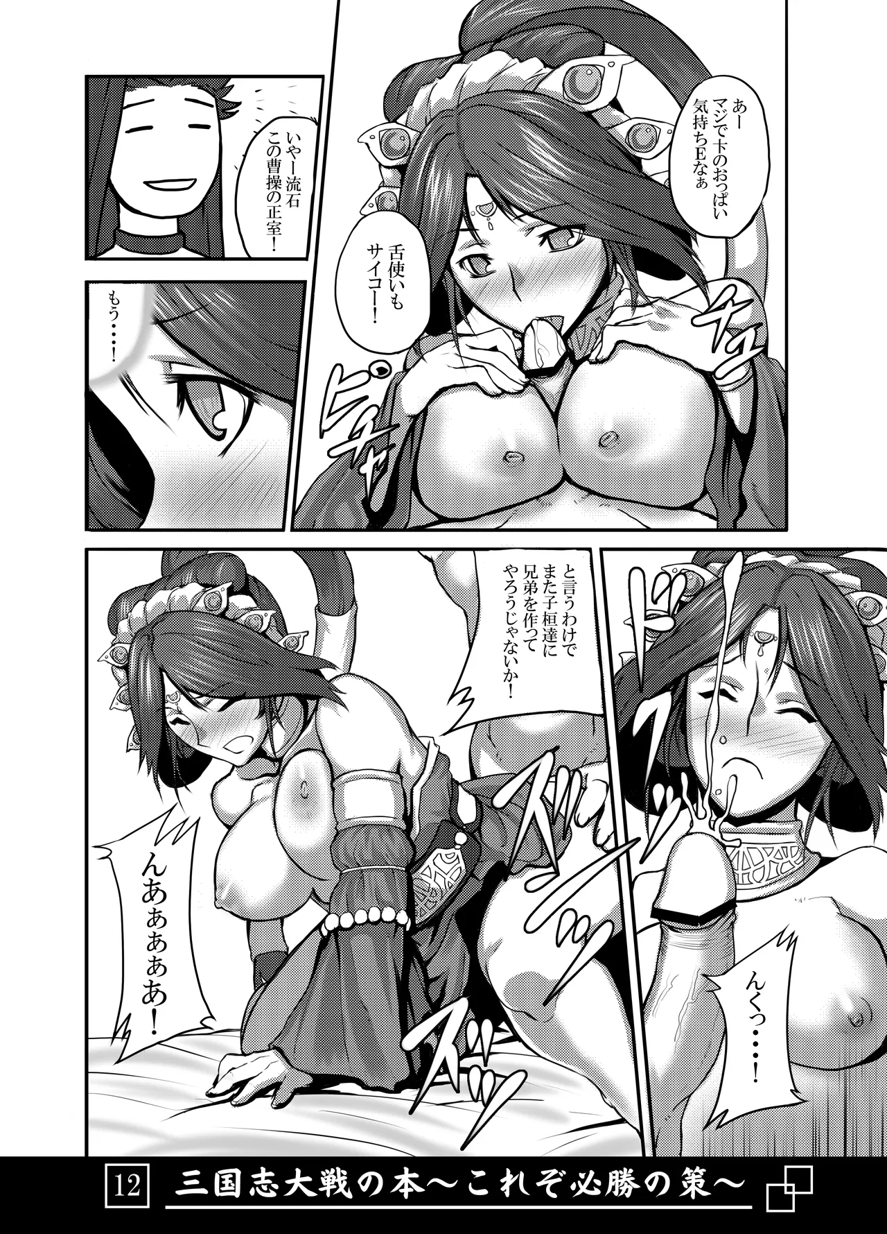 三国志大戦の本 ~これぞ必勝の策!~ Page.13